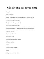 Cấp giấy phép đào đường đô thị pptx