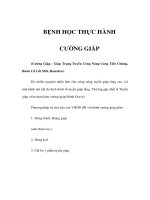 BỆNH HỌC THỰC HÀNH - CƯỜNG GIÁP potx