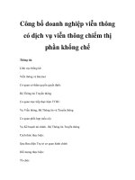 Công bố doanh nghiệp viễn thông có dịch vụ viễn thông chiếm thị phần khống chế ppsx