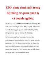 CIO, chức danh mới trong hệ thống cơ quan quản lý và doanh nghiệp pps