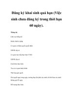 Đăng ký khai sinh quá hạn (Việc sinh chưa đăng ký trong thời hạn 60 ngày) pdf