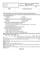 ĐỀ THI SINH 8 HỌC KỲ II