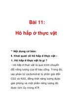 Bài 11: Hô hấp ở thực vật pdf