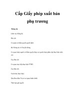 Cấp Giấy phép xuất bản phụ trương pot