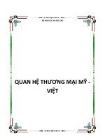 QUAN HỆ THƯƠNG MẠI MỸ - VIỆT pot