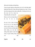 Mặt nạ đu đủ dưỡng da trắng hồng docx