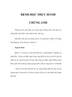 BỆNH HỌC THỰC HÀNH - CHỨNG ANH pps