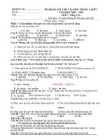 Đề thi cuối năm lớp 3