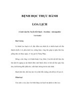 BỆNH HỌC THỰC HÀNH - LOA LỊCH pdf