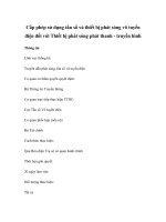 Cấp phép sử dụng tần số và thiết bị phát sóng vô tuyến điện đối với Thiết bị phát sóng phát thanh - truyền hình doc