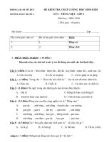 DE KIEM TRA HS GIOI LOP 2;3;4+ DAP AN