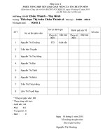 Đánh giá chuẩn NNGVTH( Phụ lục 3)