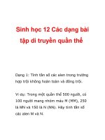 Sinh học 12 Các dạng bài tập di truyền quần thể docx