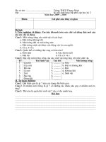 bai kiem tra pho cap thcs