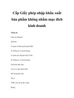 Cấp Giấy phép nhập khẩu xuất bản phẩm không nhằm mục đích kinh doanh pptx