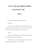 VẬT LÝ TRỊ LIỆU BÊNH TAI BIỂN MẠCH MÁU NÃO (Kỳ 1) pdf