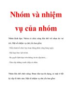Nhóm và nhiệm vụ của nhóm potx
