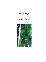 DƯỢC HỌC - ĐẠI PHÚC BÌ pot