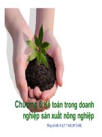 Chương 6: Kế toán trong doanh nghiệp sản xuất nông nghiệp