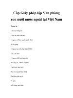 Cấp Giấy phép lập Văn phòng con nuôi nước ngoài tại Việt Nam docx