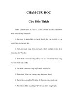 CHÂM CỨU HỌC - Cửu Biến Thích doc