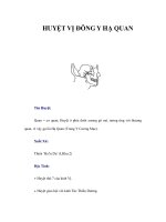HUYỆT VỊ ĐÔNG Y HẠ QUAN ppt