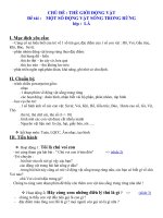 Giáo án động vật trong rừng