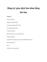 Đăng ký giao dịch bảo đảm bằng tàu bay pdf