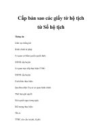Cấp bản sao các giấy tờ hộ tịch từ Sổ hộ tịch ppsx
