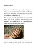 Đẹp hơn với tảo biển pptx