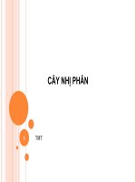 Cây nhị phân docx