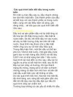 Các quá trình biến đổi dầu trong nước biển potx