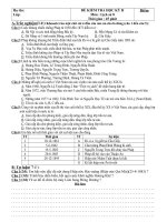 Đề thi lịch sử 8 kỳ II