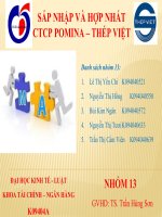 SÁP NHẬP VÀ HỢP NHẤT CTCP POMINA – THÉP VIỆT