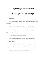 BỆNH HỌC THỰC HÀNH B- ÀNG QUANG VIÊM MẠN pptx
