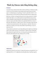 Thuốc hạ Glucose máu bằng đường uống docx