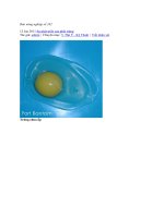 sự phát triển phôi gà