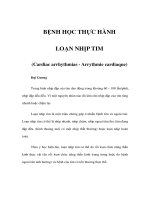 BỆNH HỌC THỰC HÀNH - LOẠN NHỊP TIM potx