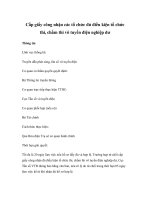 Cấp giấy công nhận các tổ chức đủ điều kiện tổ chức thi, chấm thi vô tuyến điện nghiệp dư docx