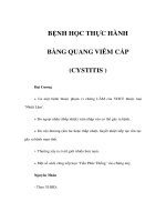 BỆNH HỌC THỰC HÀNH - BÀNG QUANG VIÊM CẤP potx