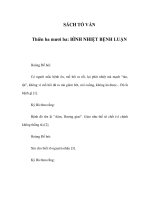 SÁCH TỐ VẤN - Thiên ba mươi ba: BÌNH NHIỆT BỆNH LUẬN pot