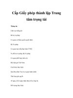 Cấp Giấy phép thành lập Trung tâm trọng tài pps