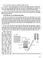 Điện Tử - Điện Dân Dụng - Điện Công Nghiệp part 10 pot