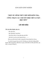 SÁNG KIẾN KINH NGHIỆM _ “MỘT SỐ  HÌNH THỨC ĐỔI MỚI KIỂM TRA,  CÔNG NHẬN CÁC CHUYÊN HIỆU RÈN LUYỆN ĐỘI VIÊN”