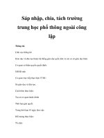 Sáp nhập, chia, tách trường trung học phổ thông ngoài công lập potx