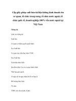 Cấp giấy phép xuất bản tài liệu không kinh doanh cho cơ quan, tổ chức trung ương, tổ chức nước ngoài, tổ chức quốc tế, doanh nghiệp 100% vốn nước ngoài tại Việt Nam docx