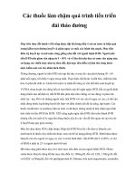 Các thuốc làm chậm quá trình tiến triển đái tháo đường ppsx