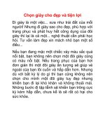 Chọn giày cho đẹp và tiện lợi pps