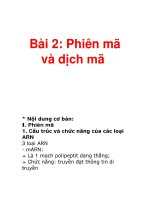 Bài 2: Phiên mã và dịch mã Nếu potx