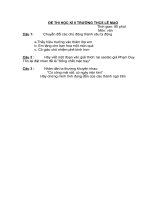 Đề thi văn học kì II